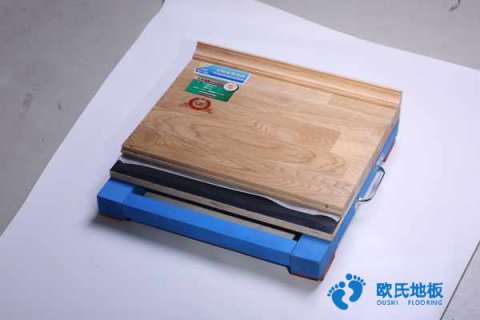 楓木、楓樺木、柞木運(yùn)動(dòng)地板用途是什么