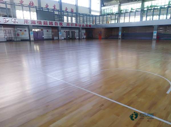 學?；@球場地地板標準尺寸2